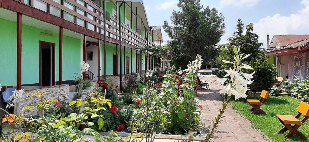 Hotel Casa Bucuria Costinești Exterior foto